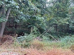 2nd image of 0 Off Droz Lot 2