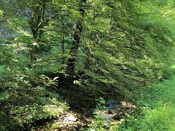 3rd image of Indian Creek Ln