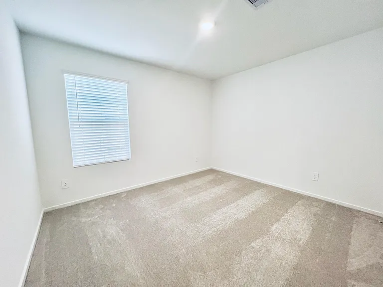 1379 Diamond Carnation Dr — Photo 6