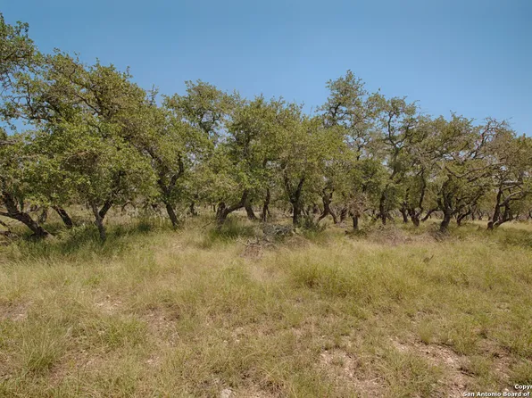 379 Bent Tree LOT 9, Harper, TX 78631