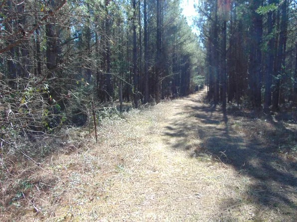 9655 County Road 2, Double Springs, AL 35553