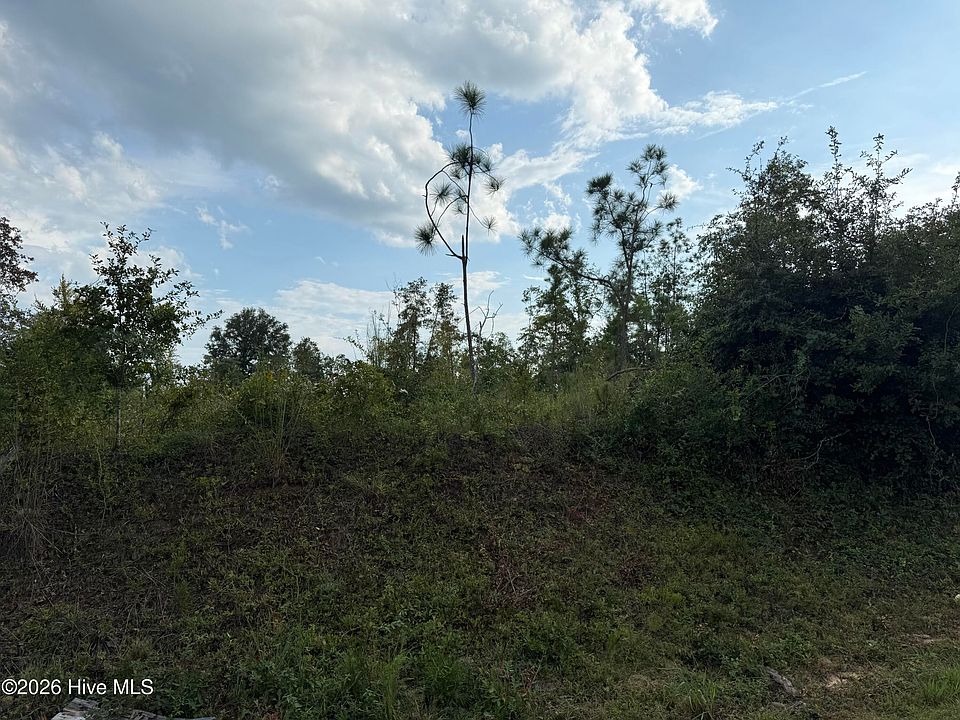 2nd image of 1576 Hephzibah - Mcbean Road