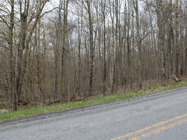 (undisclosed Address), Worcester, NY 12197