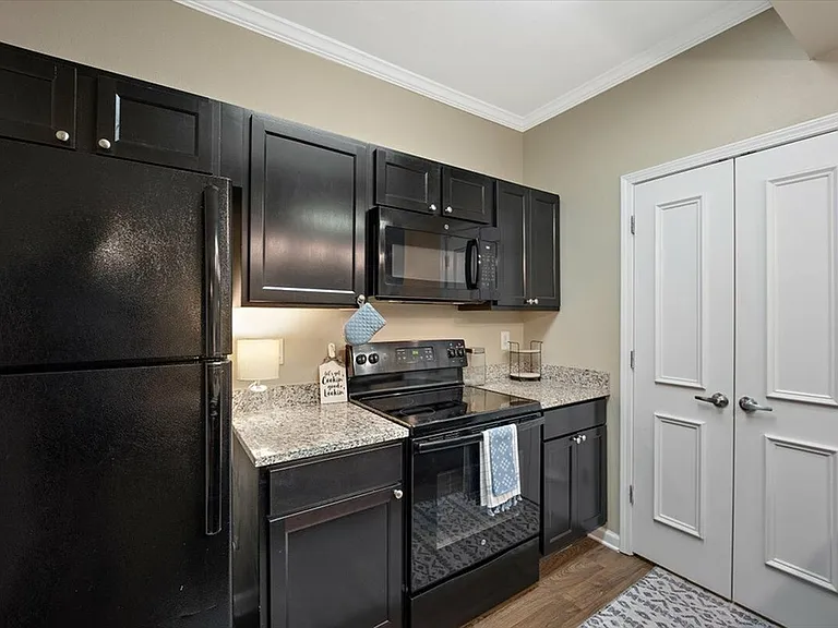 Cook in a Sleek Kitchen with Black Appliances and Granite Countertops at Eagle Flatts Apartments in Hattiesburg