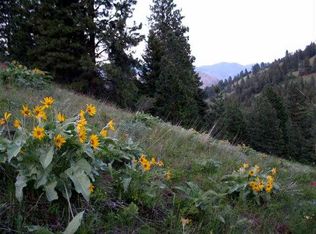 Tbd Seven Devils Rd, Riggins, ID 83549