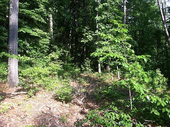 4th image of Lot 55 Bettie Path