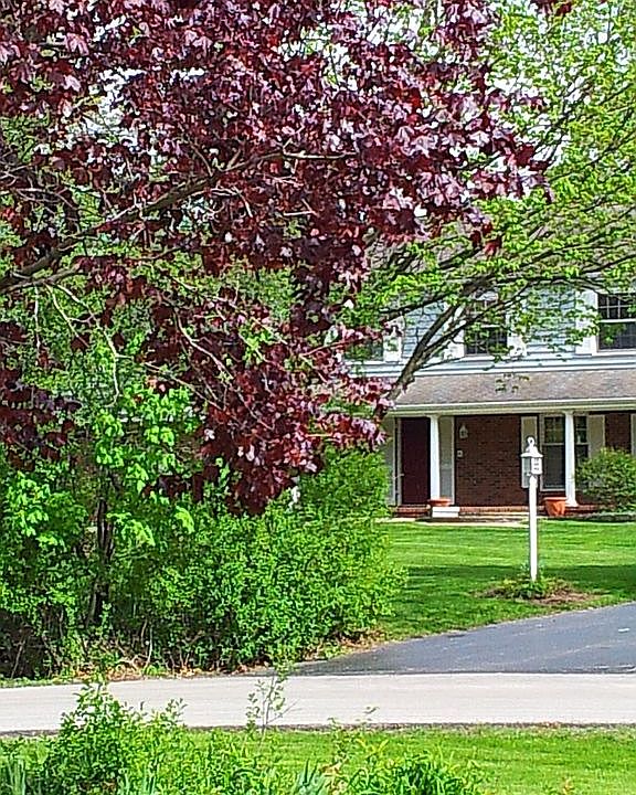 Sneek VIew From Circle