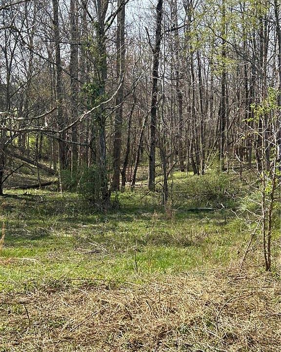 1st image of 0 Browning Rd