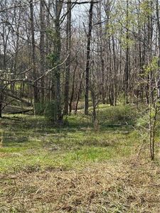 0 Browning Rd, Fairmount, GA, 30139