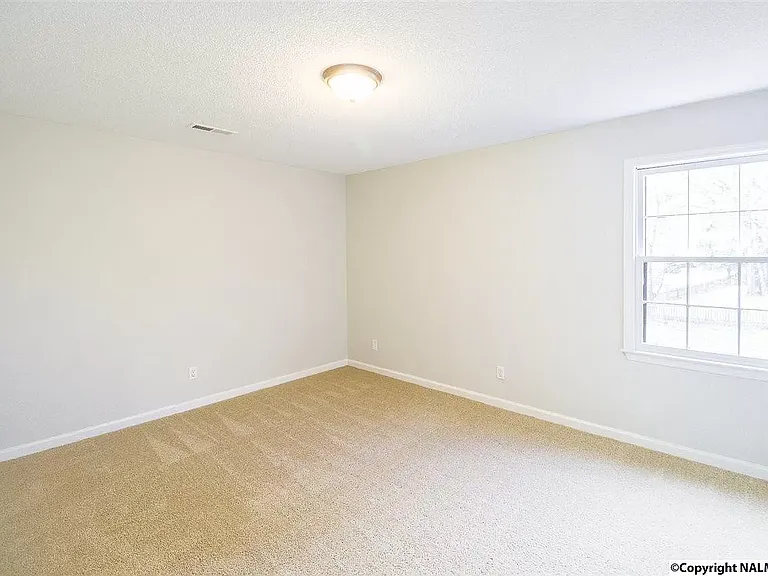 117 Betty Garrett Dr — Photo 11