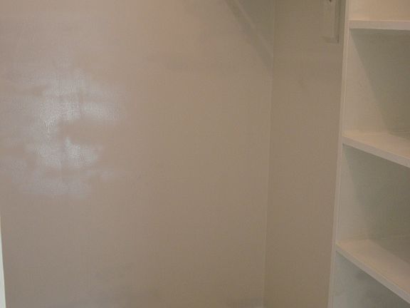 Walk in closet (master)