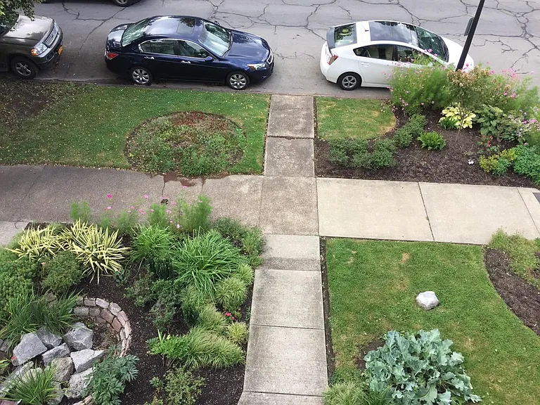 Beautiful garden from the porch.