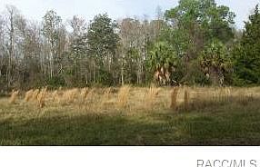 2nd image of 8391 W Trotter Ln