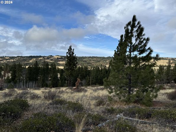 Luther Rd, Bickleton, WA 99322