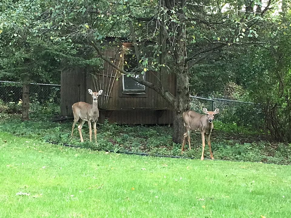 2nd image of 1209 Hillside Ln