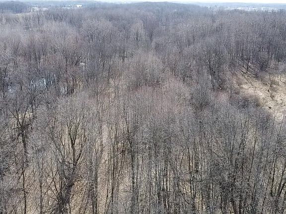 4th image of 8453 S Durand Rd