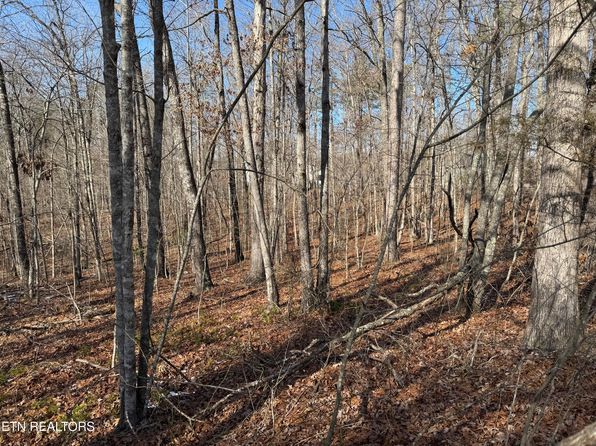 Belmont Cir, Monterey, TN 38574