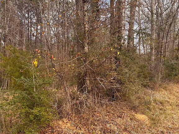 4th image of County Road 434