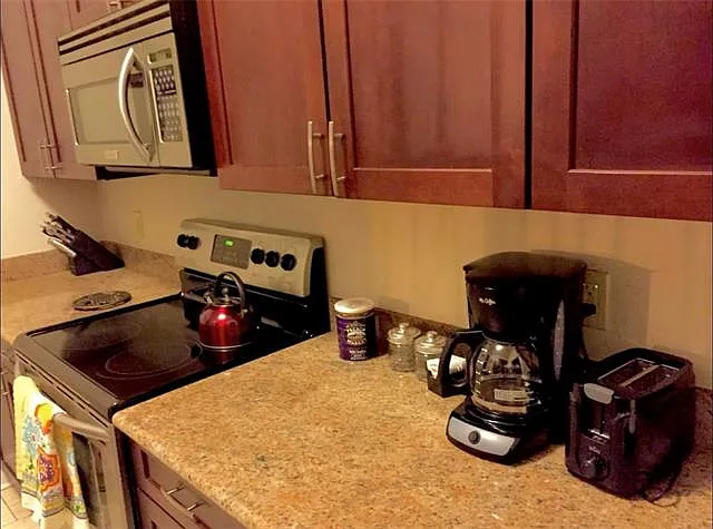 1524 Euterpe St #E — Photo 11
