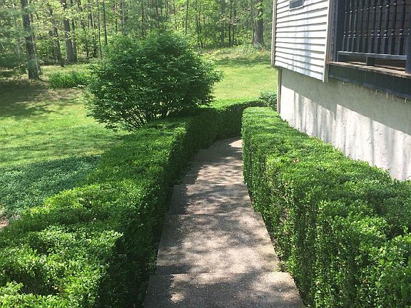4-Steps Leading to Back of Home