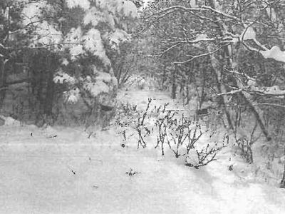 M 28, Newberry, MI, 49868