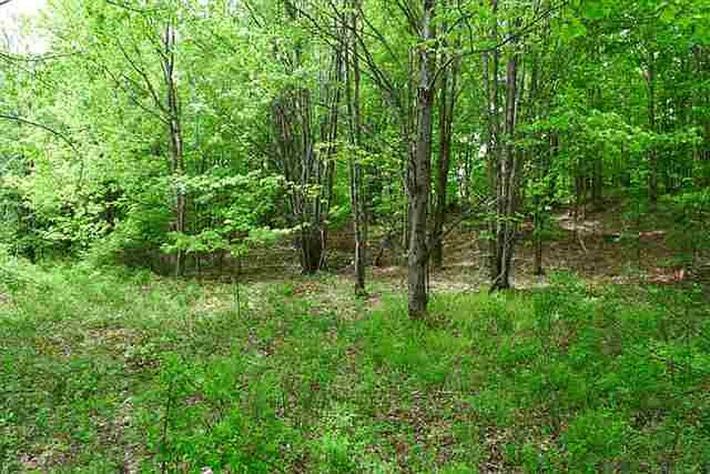 3rd image of 372 HOLLENBECK Road