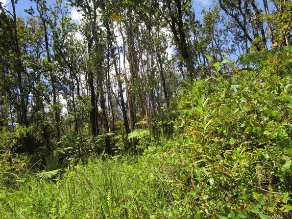 Uluhemalu Rd Lot 23, Volcano, HI 96785