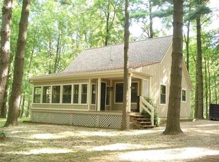 4197 Pioneer Rd, Osseo, MI 49266