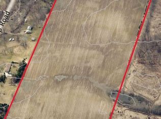 0 W Ray Rd, Swartz Creek, MI 48473