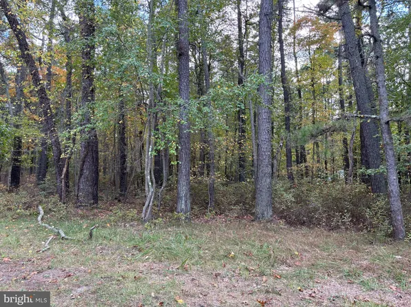 Warren Ave, Browns Mills, NJ 08015