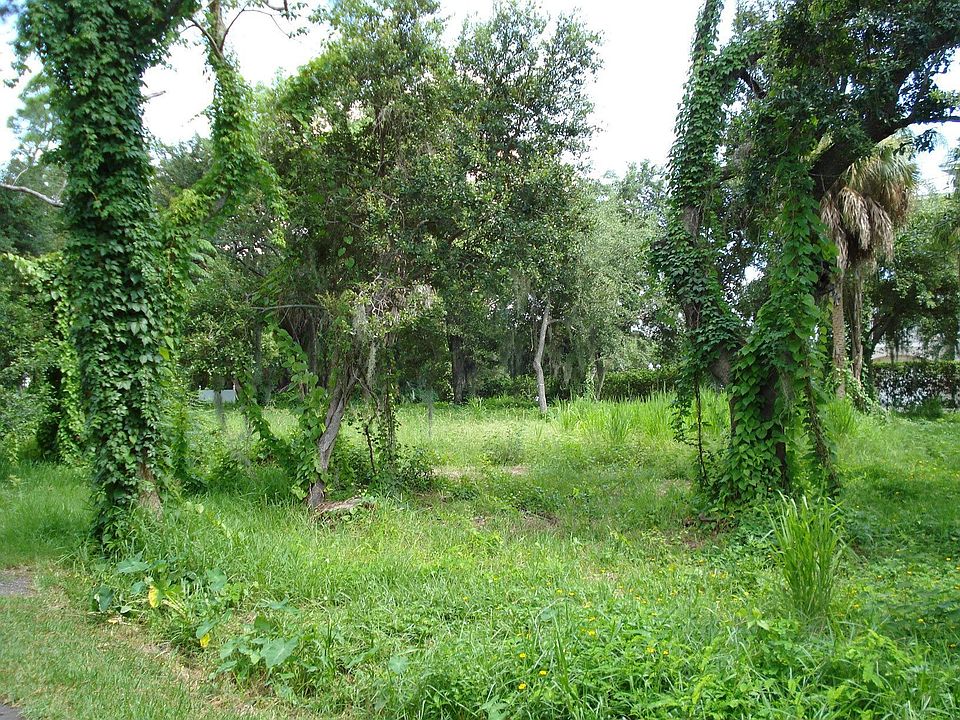 Safety Harbor Land For Sale