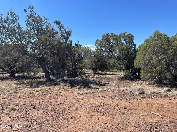 54 Schultz Rd, Concho, AZ 85924