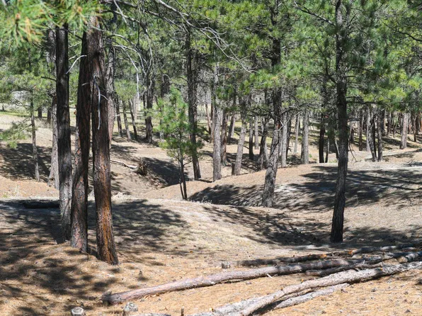 LOT S, Belle Fourche, SD 57717