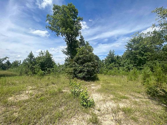 4th image of 0 County Road 143