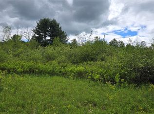 0 Route 41, Afton, NY 13730