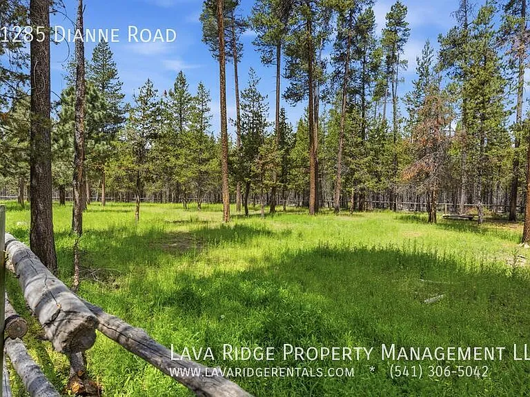 51285 Dianne Rd — Photo 54