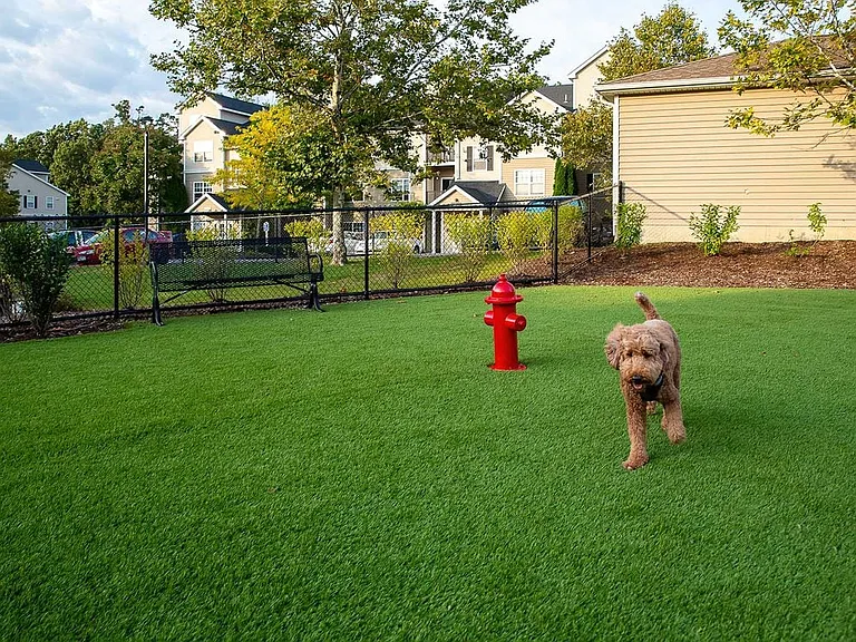 Phase II WAG Pet Park