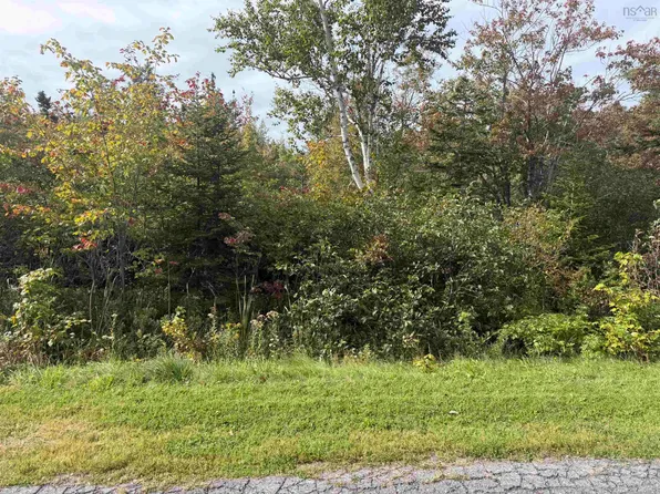 Schaller Dr, Sydney Forks, NS B1L 1A1