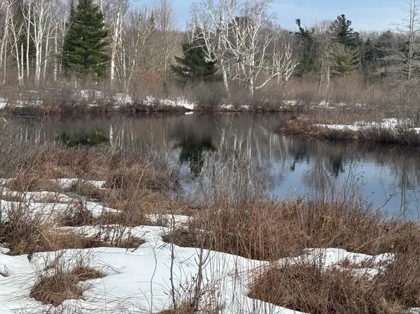 0 S River Run Dr, Trout Lake, MI 49793