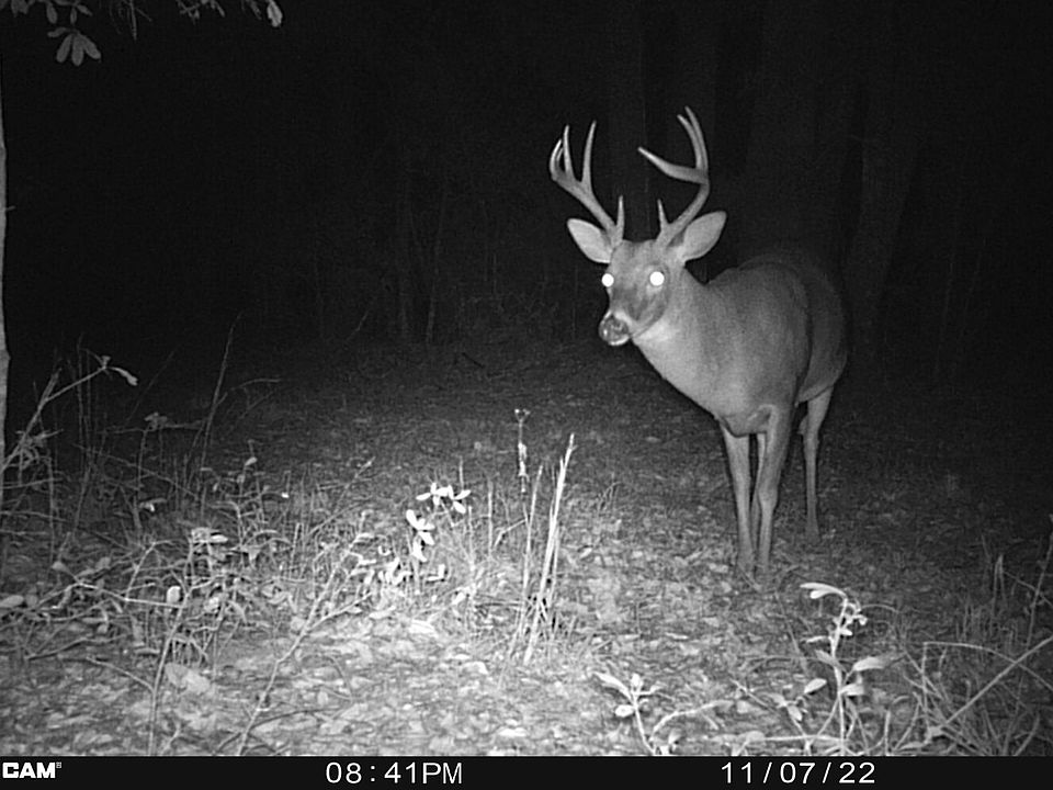 All Photos Taken on property in November 2022