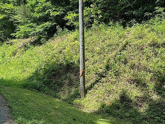 4th image of 0 Larix Dr