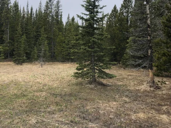 Peerless Jennie Rd #1, Clancy, MT 59634