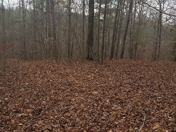 3rd image of Falls Creek Dr #24B