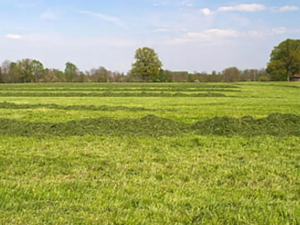 0 Holt Cir #2, Hayden, AL 35079