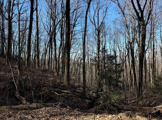 6180 Burnt Mountain Rd, Ellijay, GA 30536