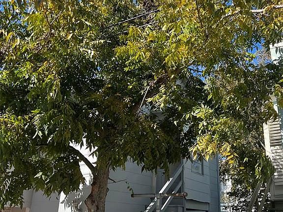 4th image of 4711 Avenue R1/2 #Rr