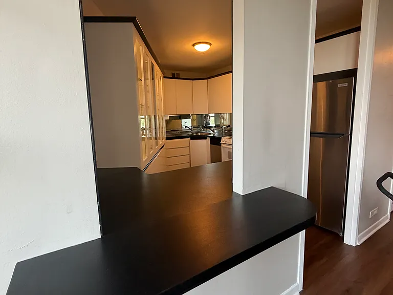 2626 N Lakeview Ave #804 — Photo 5