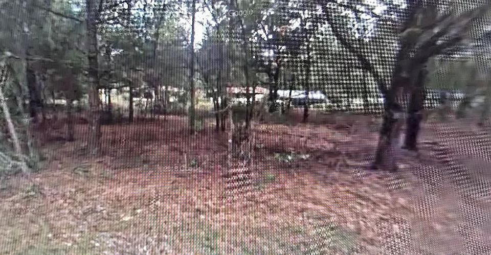 1st image of 3397 E Alex Place