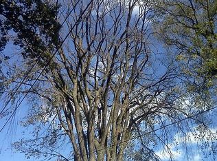 260 McMillan Rd, Grosse Pointe Farms, MI 48236