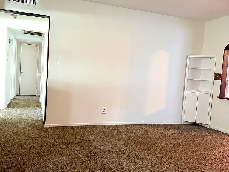 Built-in shelving in living room